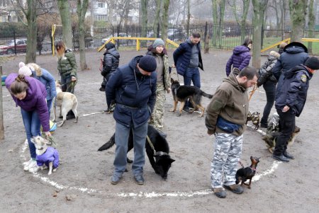 Исполнение мечты: незрячая одесситка получила собаку–поводыря (фото)