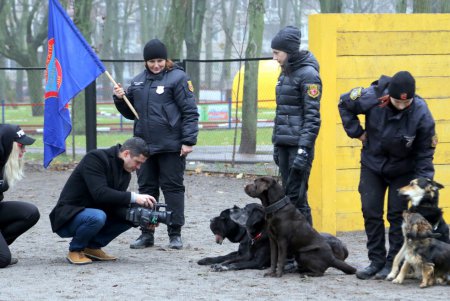 Исполнение мечты: незрячая одесситка получила собаку–поводыря (фото)