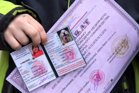 Исполнение мечты: незрячая одесситка получила собаку–поводыря (фото)