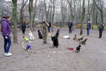 Исполнение мечты: незрячая одесситка получила собаку–поводыря (фото)