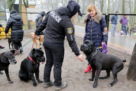 Исполнение мечты: незрячая одесситка получила собаку–поводыря (фото)
