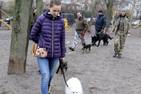 Исполнение мечты: незрячая одесситка получила собаку–поводыря (фото)