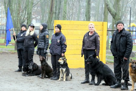 Исполнение мечты: незрячая одесситка получила собаку–поводыря (фото)