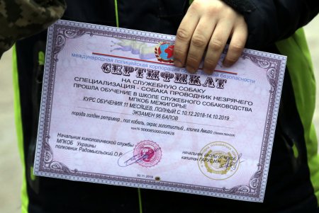Исполнение мечты: незрячая одесситка получила собаку–поводыря (фото)