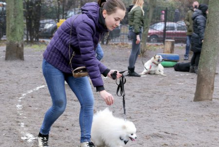 Исполнение мечты: незрячая одесситка получила собаку–поводыря (фото)