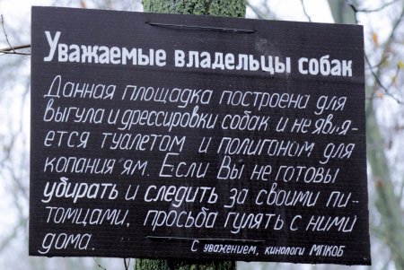 Исполнение мечты: незрячая одесситка получила собаку–поводыря (фото)