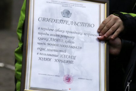 Исполнение мечты: незрячая одесситка получила собаку–поводыря (фото)