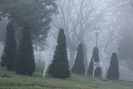 Одесса готовится к праздникам (фоторепортаж)