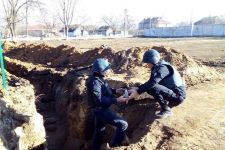 Рекордная находка: на территории школы в Беляевском районе найдены более 300 предметов времен войны (фото) 