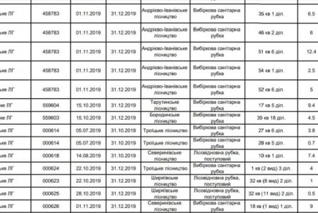 «Лес в смартфоне»: в регионе стал доступен онлайн-сервис для отслеживания легальной вырубки деревьев
