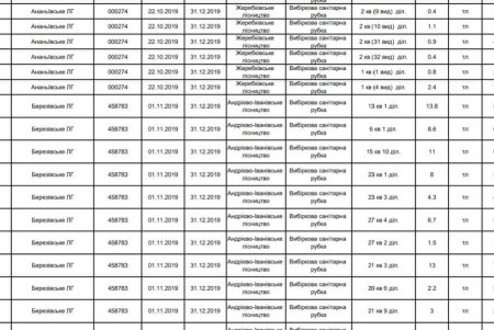 «Лес в смартфоне»: в регионе стал доступен онлайн-сервис для отслеживания легальной вырубки деревьев