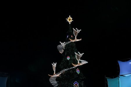 Концерт, салют и много сюрпризов: как Одесса встретила Новый год (фоторепортаж)