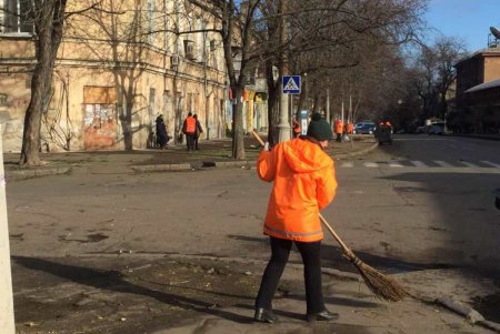 Последствия новогодней торговли: во всех районах города остались горы елок (фото, видео)