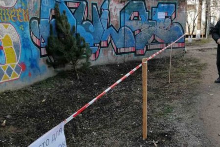 Одесситы начали менять елки на конфеты (фото)