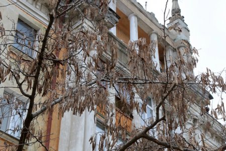 Как выглядит улица Софиевская после капитального ремонта (фоторепортаж)