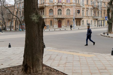 Как выглядит улица Софиевская после капитального ремонта (фоторепортаж)