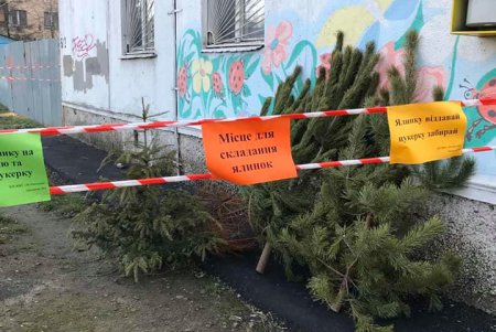 Горожане активно меняют новогодние елки на сладости (фото)