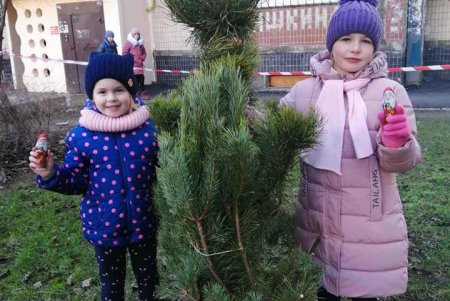 Горожане активно меняют новогодние елки на сладости (фото)