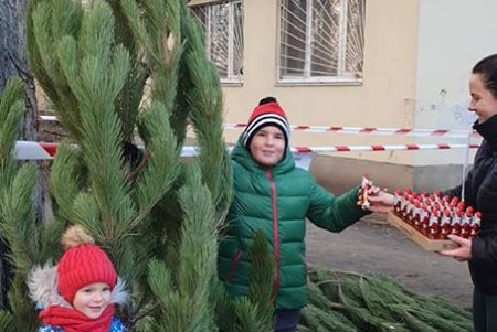 Горожане активно меняют новогодние елки на сладости (фото)