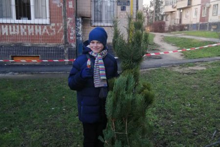 Горожане активно меняют новогодние елки на сладости (фото)