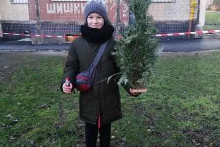 Горожане активно меняют новогодние елки на сладости (фото)