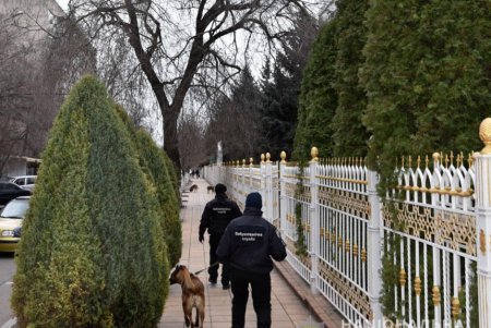 Для безопасности: накануне Рождества одесские храмы проверяют кинологи и взрывотехники (фото)