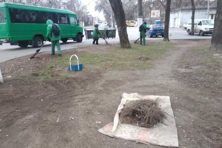 Праздники не помеха: коммунальщики приводят в порядок улицы и парки города (фото)