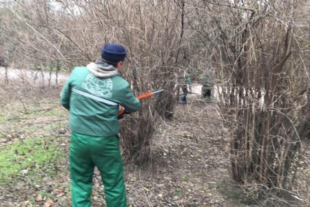 Праздники не помеха: коммунальщики приводят в порядок улицы и парки города (фото)