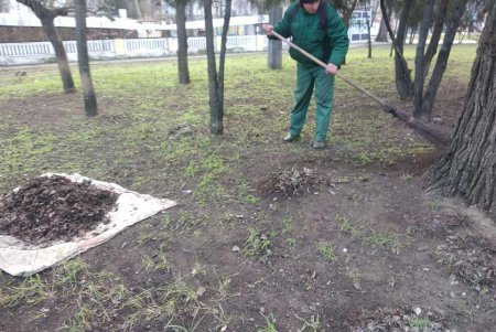 Праздники не помеха: коммунальщики приводят в порядок улицы и парки города (фото)