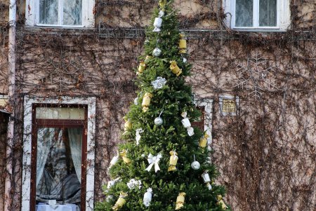 Рождественский фестиваль на Дерибасовской (фоторепортаж)
