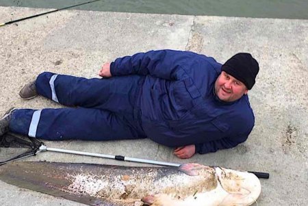 В Измаиле двое местных жителей голыми руками выловили огромного сома (фото)
