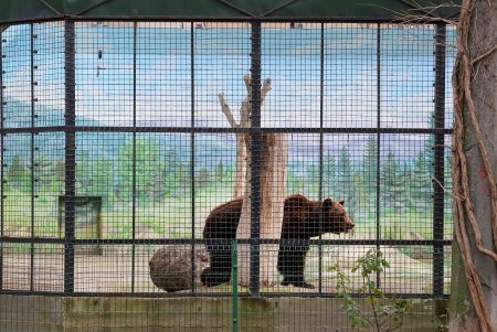 Парк Преображенский: реконструкция продолжается (фоторепортаж) 