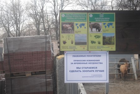 В зоопарке началась реконструкция: звери получат современные вольеры, территорию благоустроят (фото)