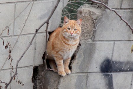 Бульвар Жванецкого: капитальный ремонт продолжается (фоторепортаж) 