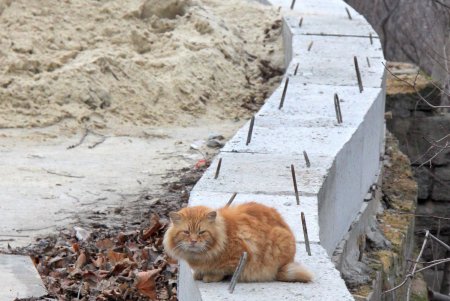 Бульвар Жванецкого: капитальный ремонт продолжается (фоторепортаж) 