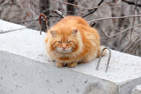 Бульвар Жванецкого: капитальный ремонт продолжается (фоторепортаж) 