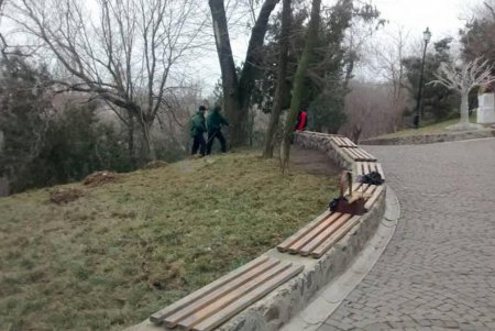 За чистотой в парках и скверах коммунальщики следят ежедневно (фото)