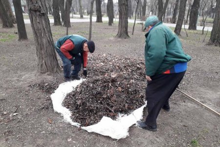 За чистотой в парках и скверах коммунальщики следят ежедневно (фото)