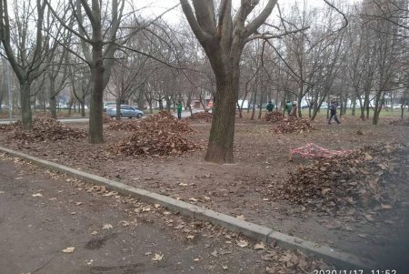 За чистотой в парках и скверах коммунальщики следят ежедневно (фото)
