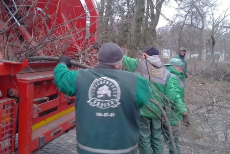 За чистотой в парках и скверах коммунальщики следят ежедневно (фото)