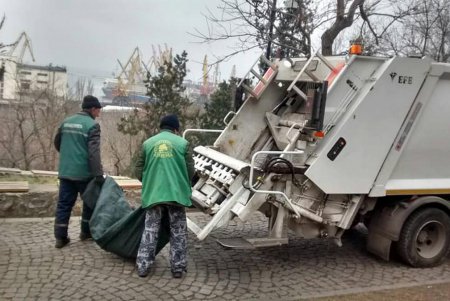 За чистотой в парках и скверах коммунальщики следят ежедневно (фото)