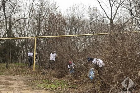 Урны для раздельного сбора мусора установили в парке Шевченко (фото)