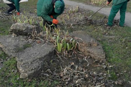 Генеральная уборка: в Киевском районе коммунальщики со всего города подметают дороги, очищают от мусора зеленые зоны (фото)