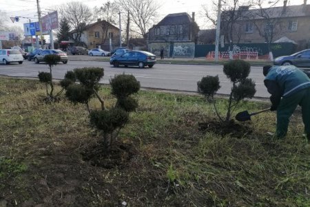Генеральная уборка: в Киевском районе коммунальщики со всего города подметают дороги, очищают от мусора зеленые зоны (фото)