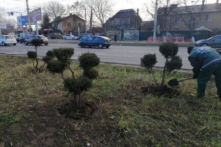 Генеральная уборка: в Киевском районе коммунальщики со всего города подметают дороги, очищают от мусора зеленые зоны (фото)