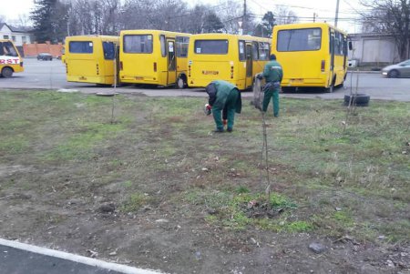 Генеральная уборка: в Киевском районе коммунальщики со всего города подметают дороги, очищают от мусора зеленые зоны (фото)