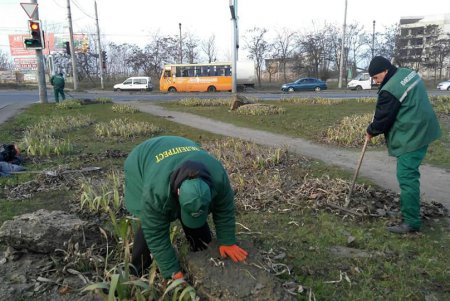 Генеральная уборка: в Киевском районе коммунальщики со всего города подметают дороги, очищают от мусора зеленые зоны (фото)