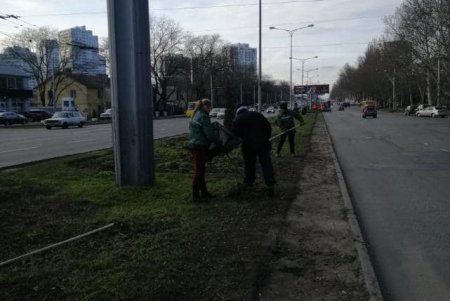 Генеральная уборка: в Киевском районе коммунальщики со всего города подметают дороги, очищают от мусора зеленые зоны (фото)
