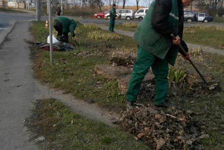 Генеральная уборка: в Киевском районе коммунальщики со всего города подметают дороги, очищают от мусора зеленые зоны (фото)