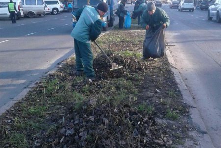 Генеральная уборка: в Киевском районе коммунальщики со всего города подметают дороги, очищают от мусора зеленые зоны (фото)